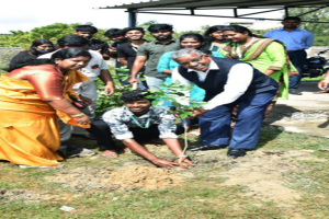 Tree Plantation in College Premises